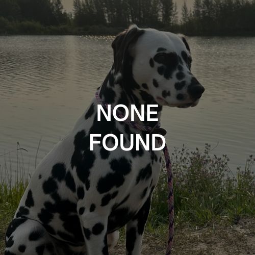 Dalmatian - None Found